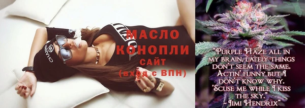 твердый Верхний Тагил