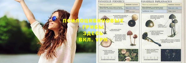 первитин Верхнеуральск