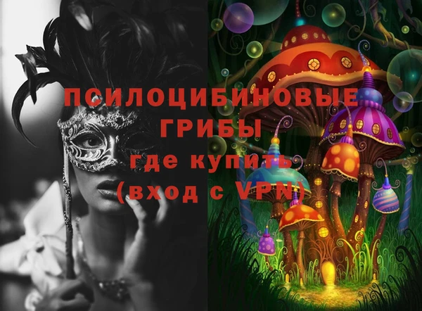 2c-b Бронницы